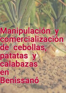 Manipulación y comercialización de cebollas, patatas y calabazas - Benissanó